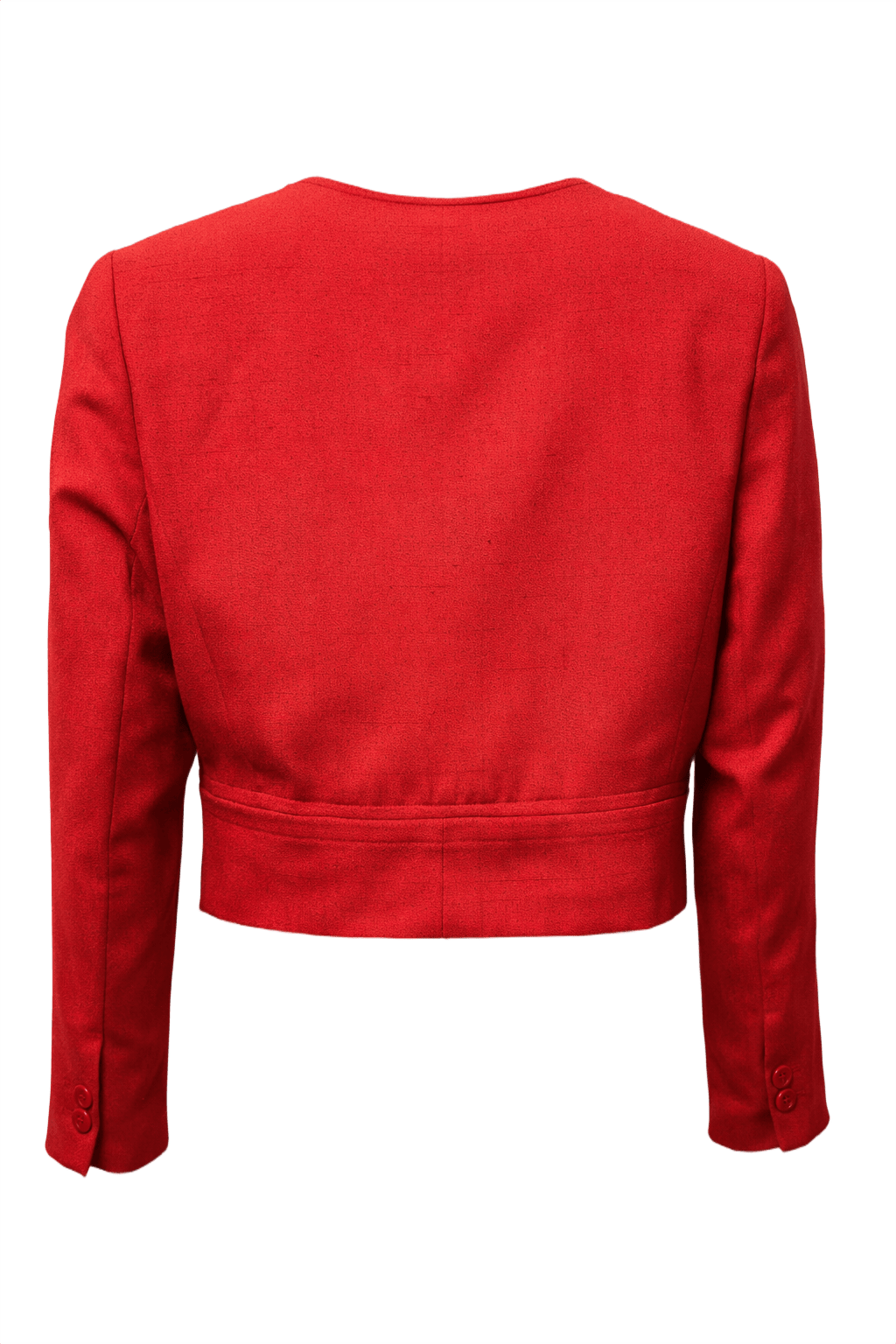 1980s Red Silk Blazer - Back View