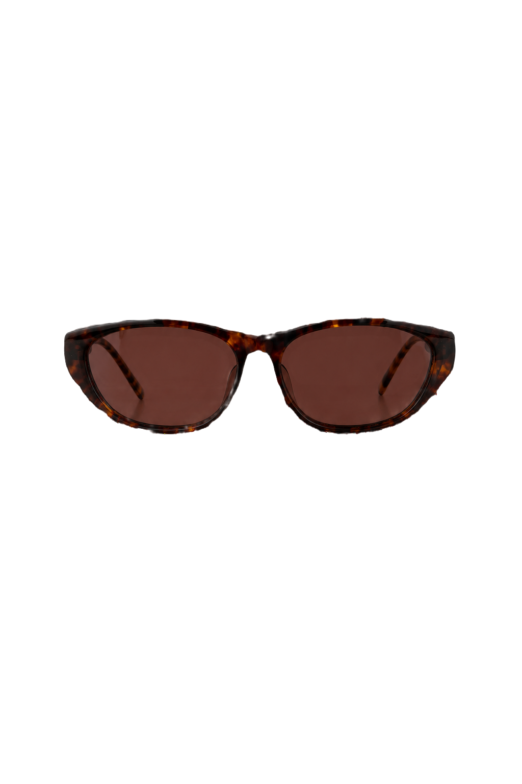 1990s Brown Plastic Sunglasses - Front View