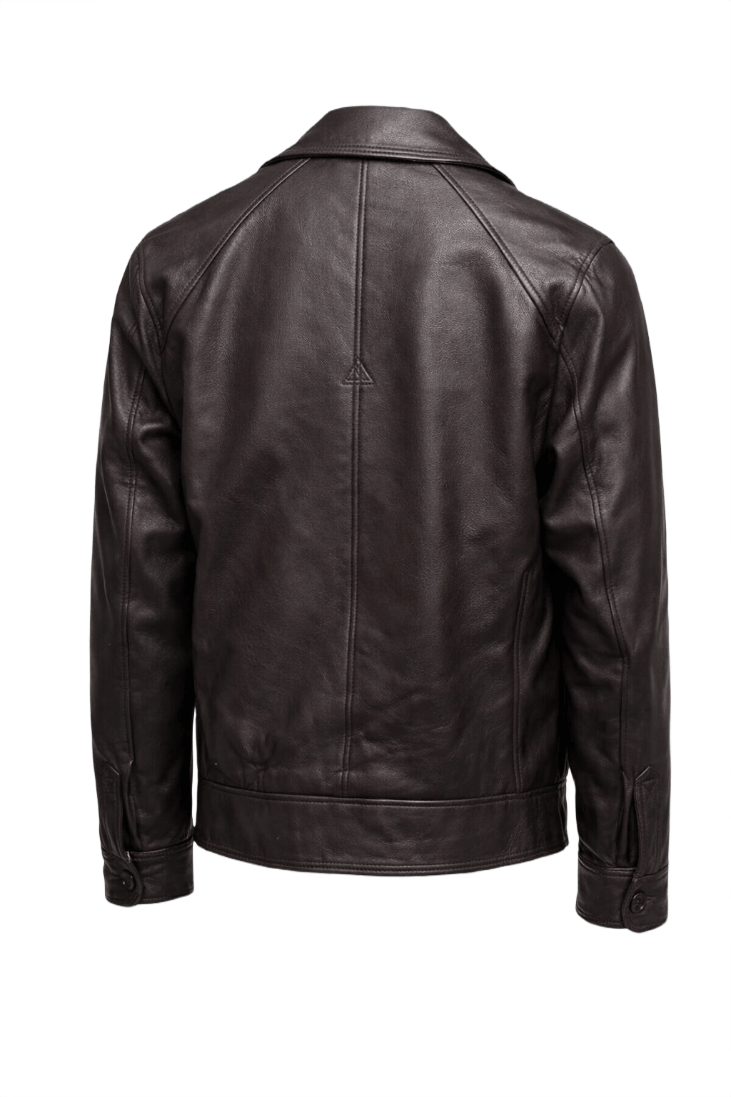 1970s Dark Brown Leather Jacket - Back View