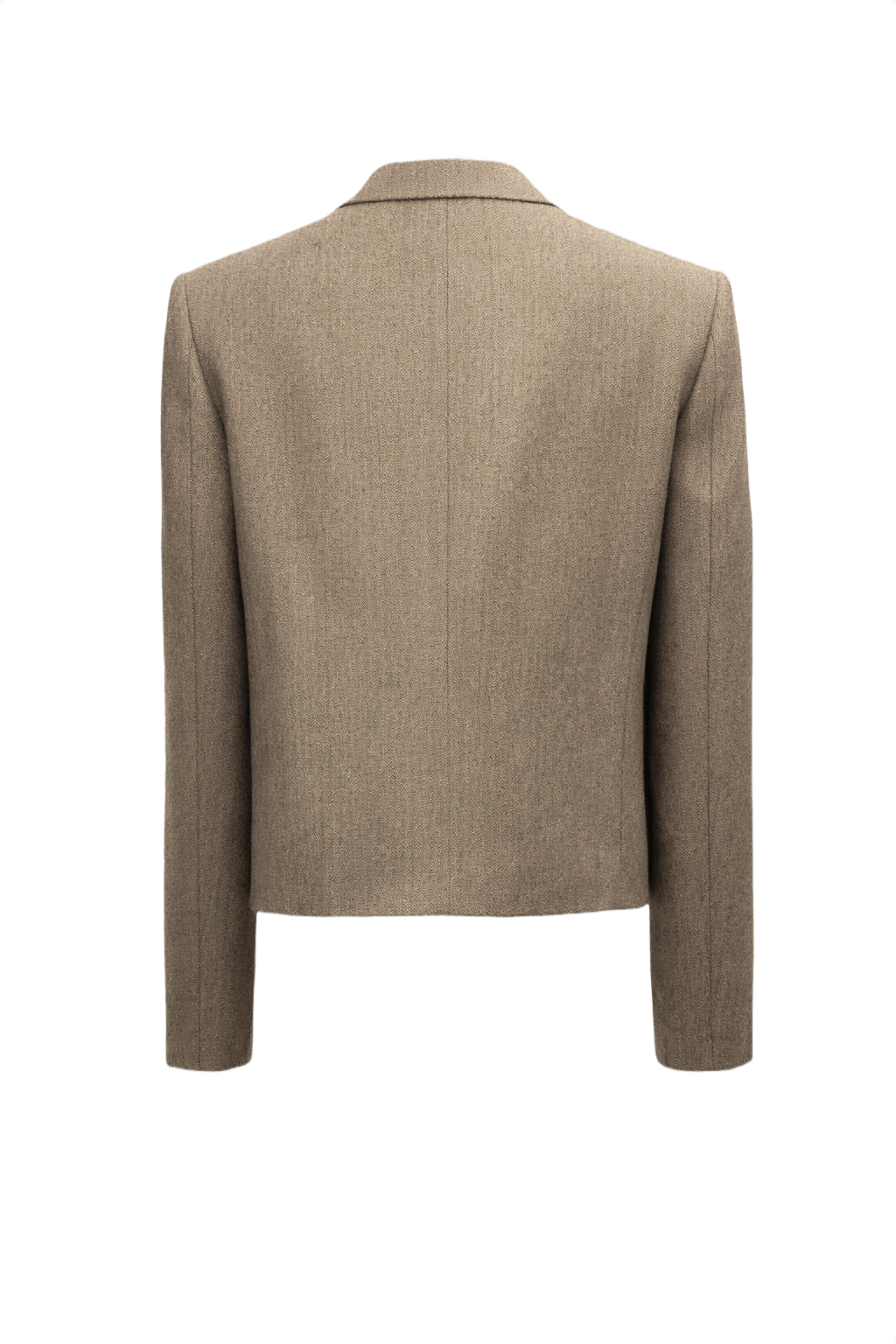 1980s Tan Wool Blazer - Back View