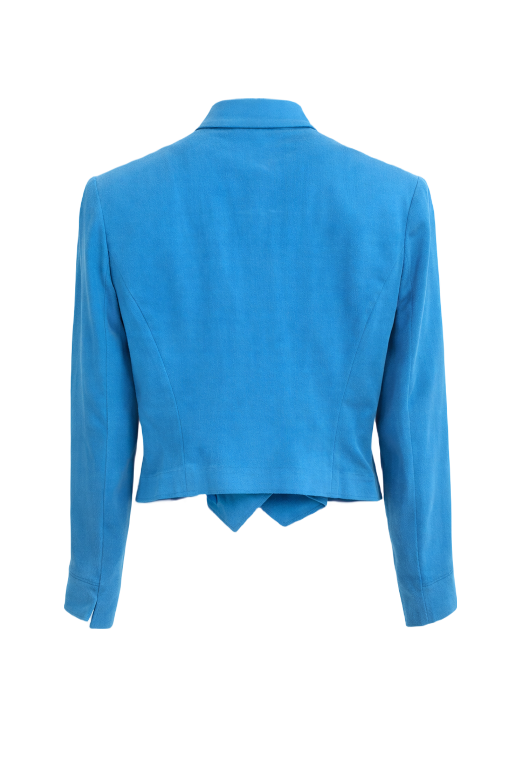 1990s Bright Blue Suede Jacket - Back View