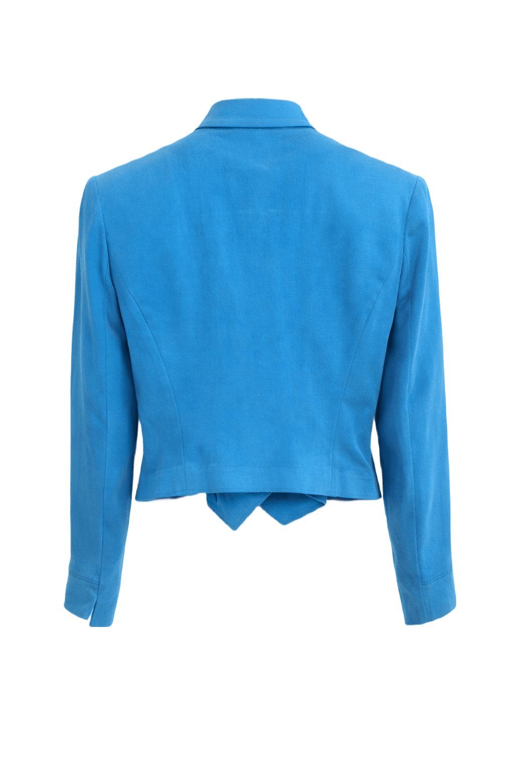 1990s Bright Blue Suede Jacket - Back View