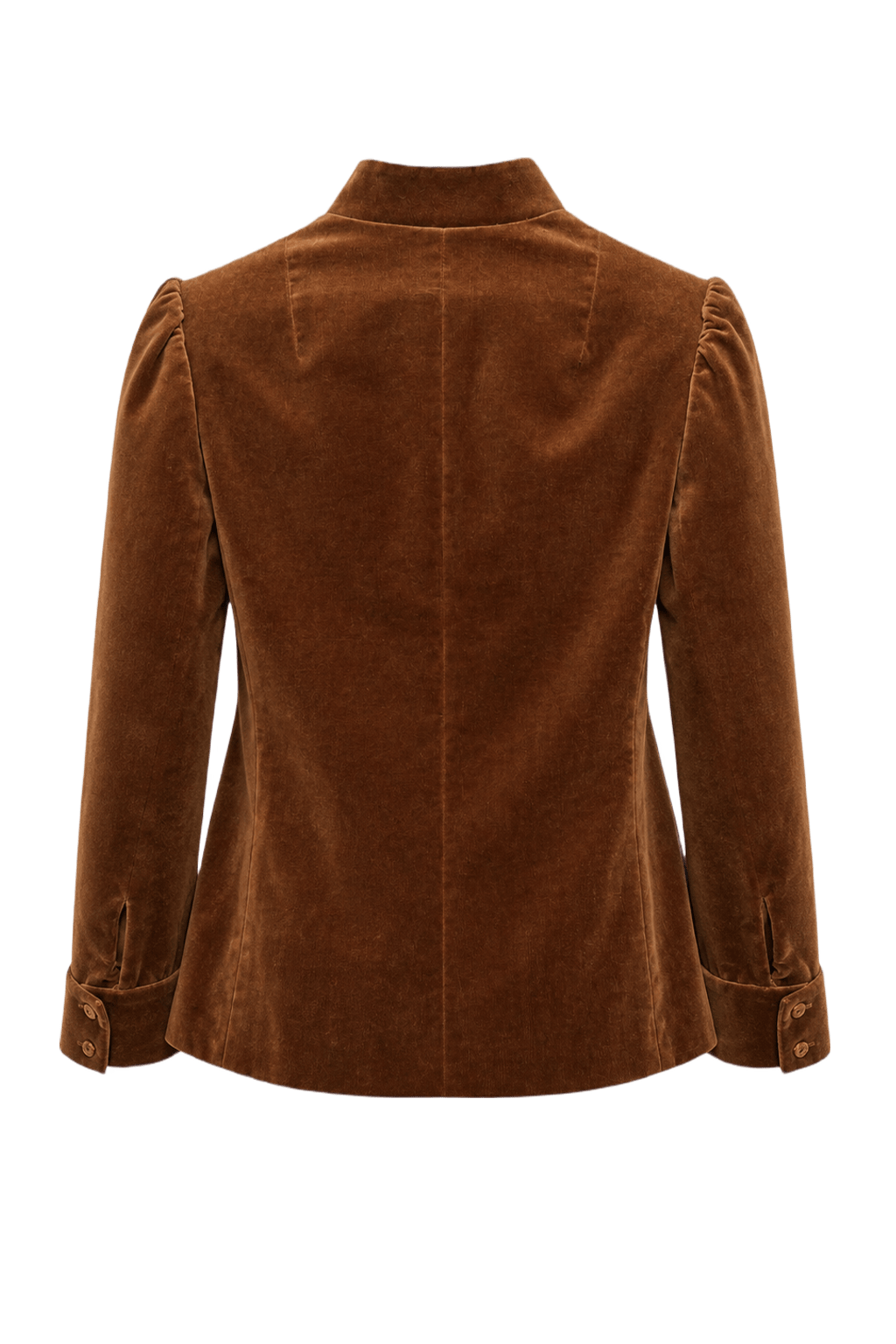 1970s Brown Velvet Blouse - Back View