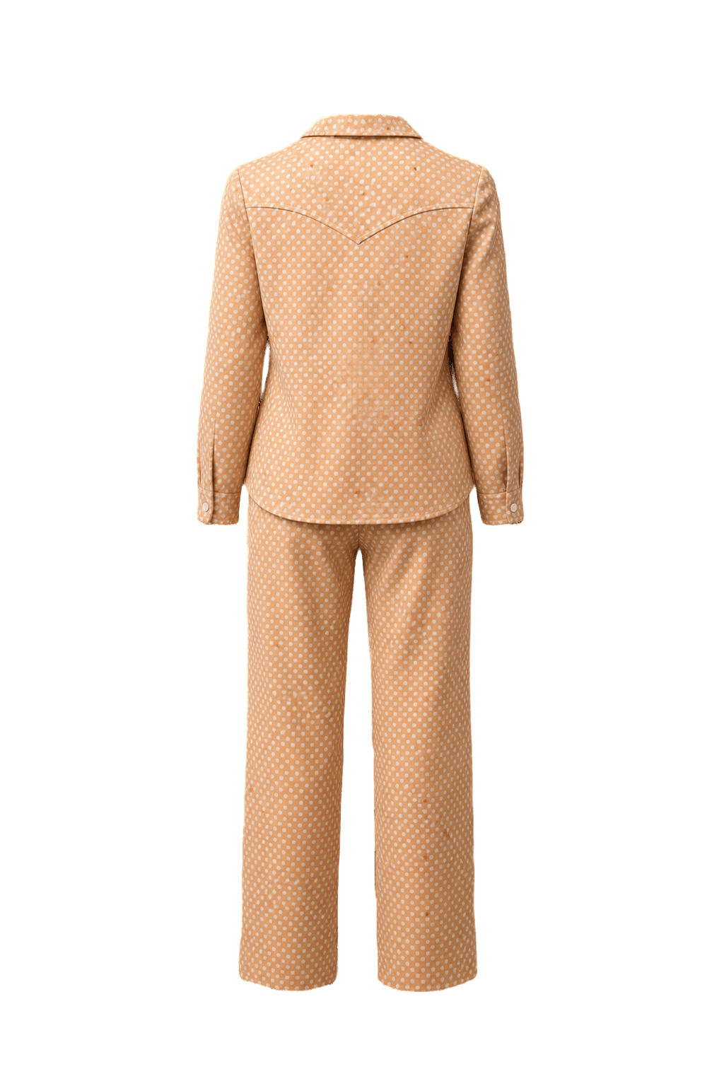 1960s Peach Polyester 2-Piece Set - Back View