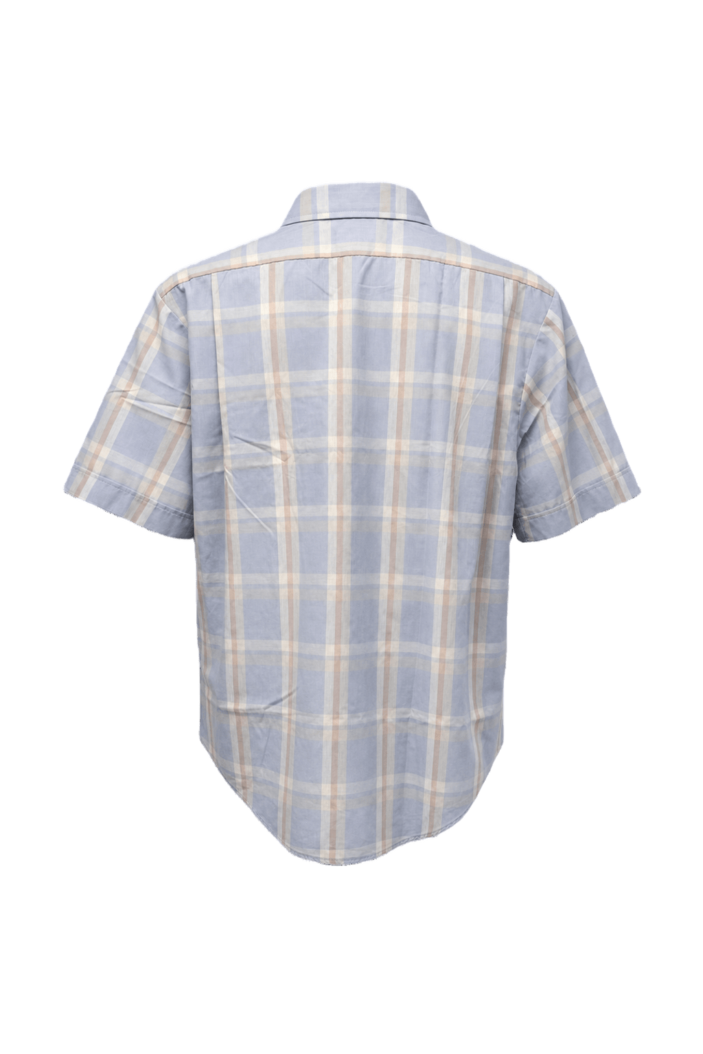 1970s Light Blue Cotton Shirt - Back View