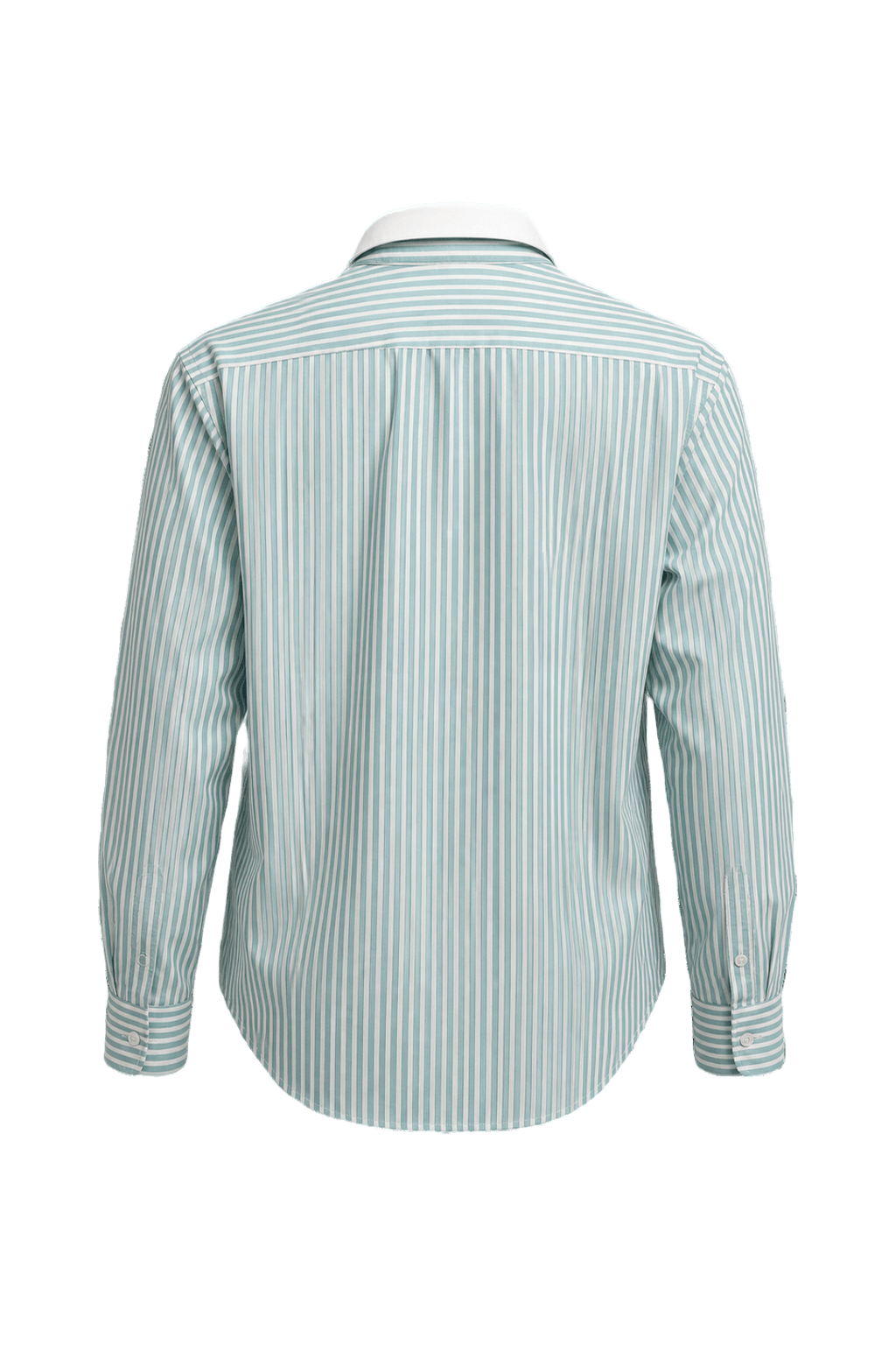 1970s Light Blue Cotton Shirt - Back View