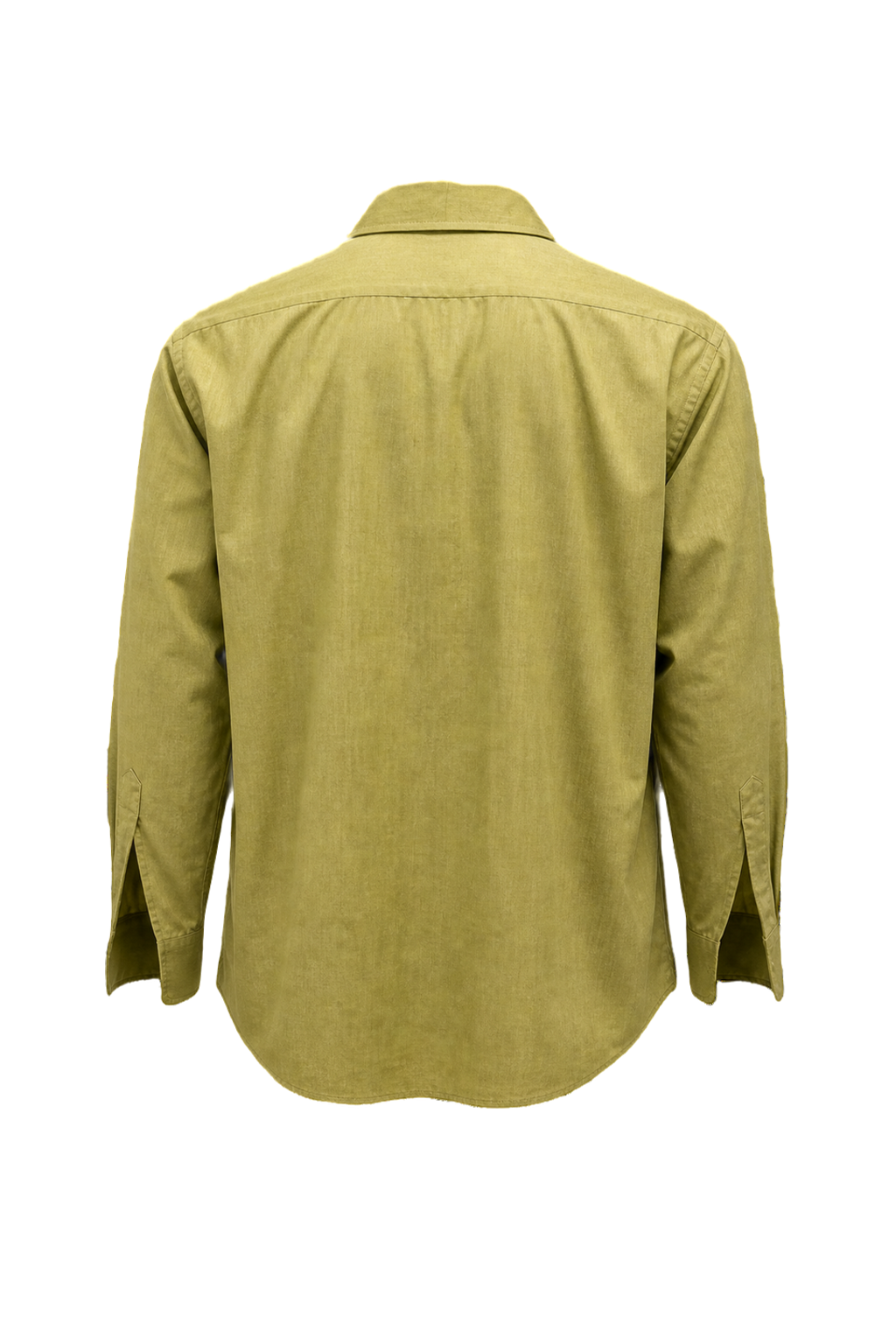 1980s Light Green Cotton Blend Shirt - Back View