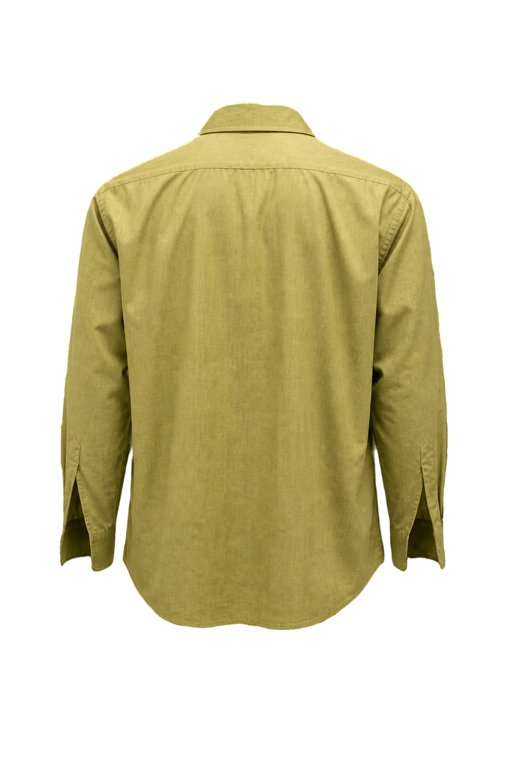 1980s Light Green Cotton Blend Shirt - Back View