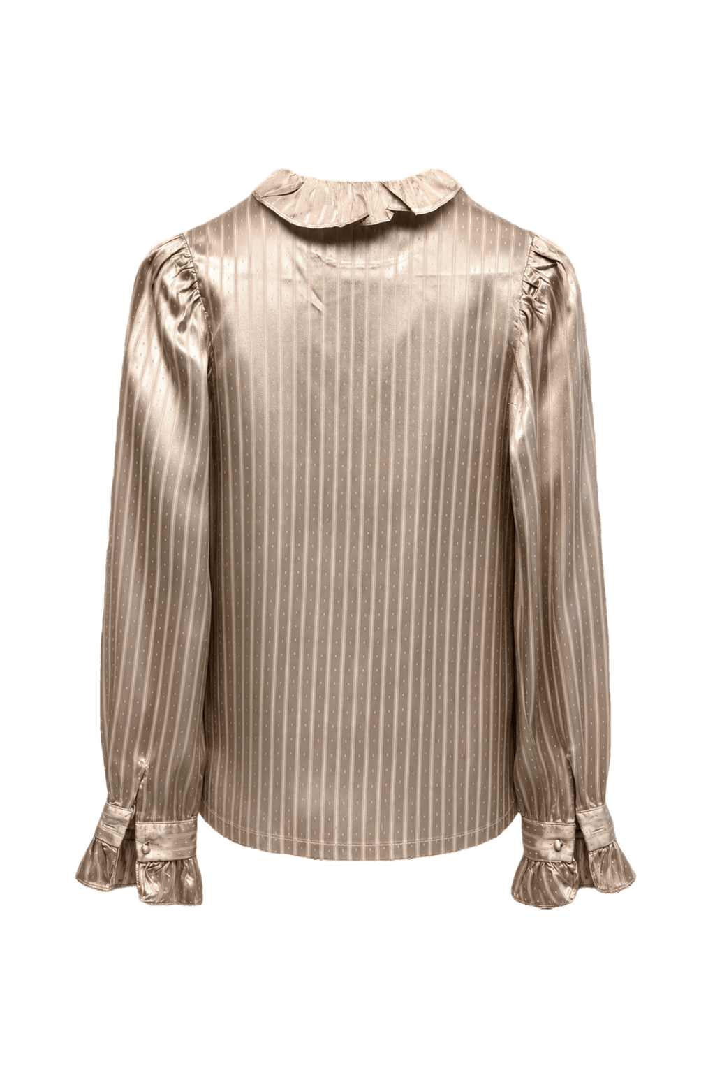 1980s Champagne Satin Blouse - Back View