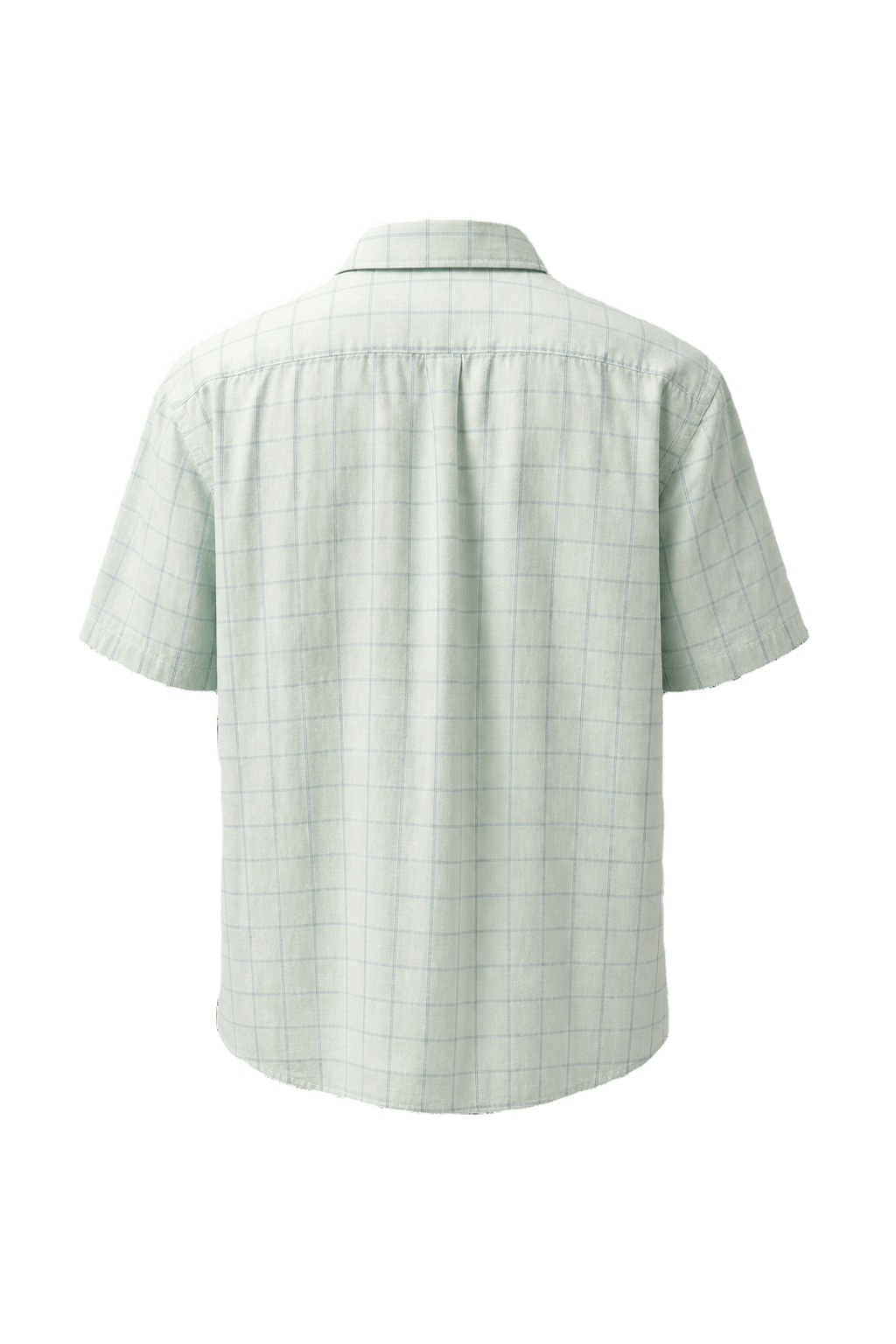 1980s Pastel Green Cotton Shirt - Back View