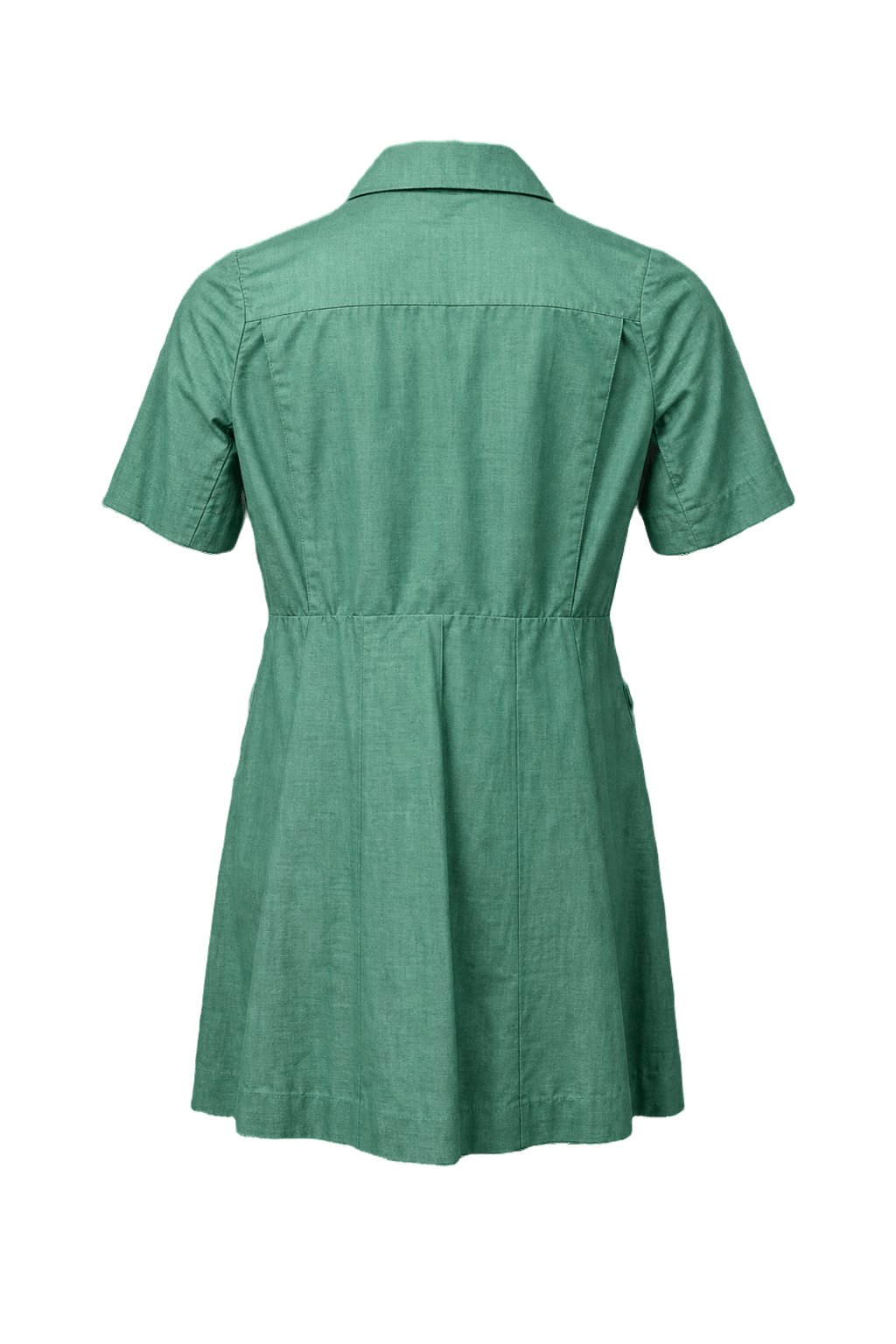 1970s Light Green Cotton Dress - Back View