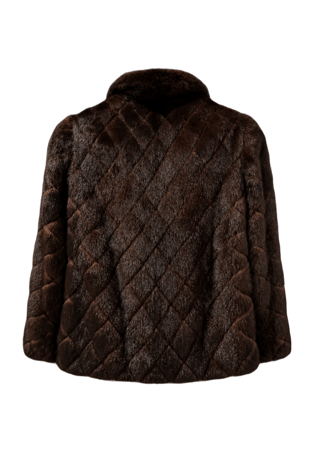 1980s Dark Brown Fur Coat - Back View