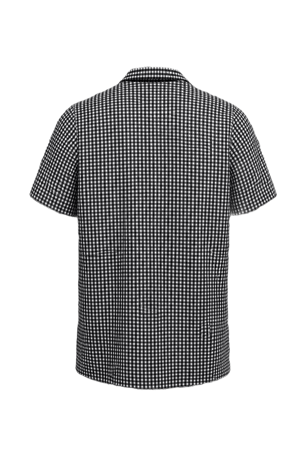 1970s Black and White Checkered Shirt - Back View