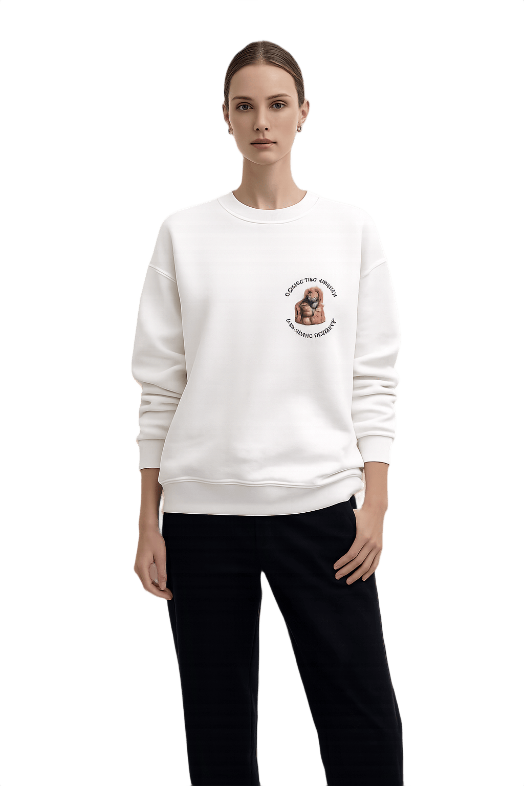Unisex Crew Neck Sweater with Embroidered Design - Model
