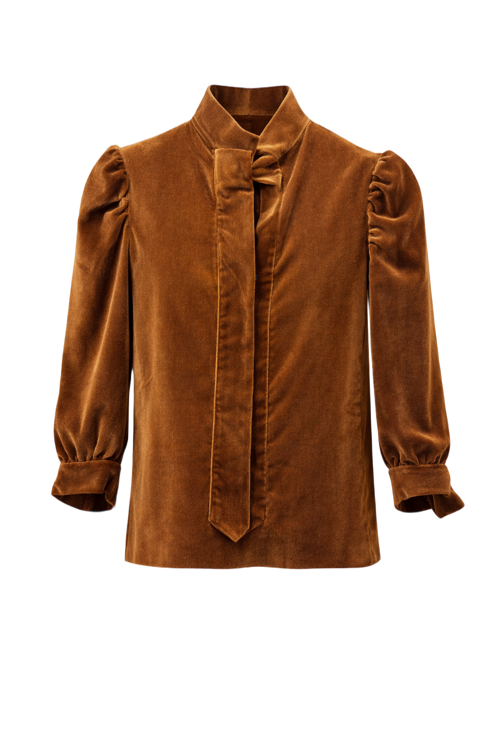 1980s Brown Velvet Blouse - Front View