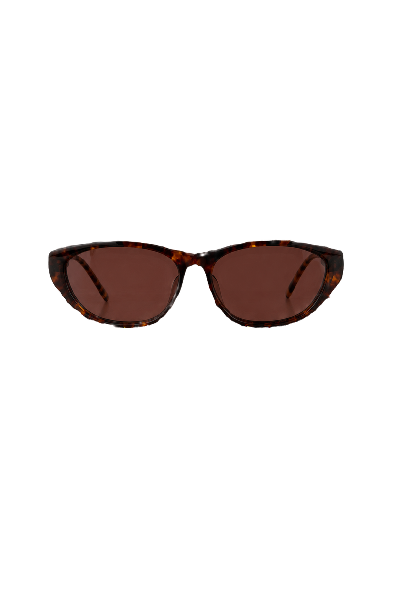 1990s Brown Plastic Sunglasses - Front View