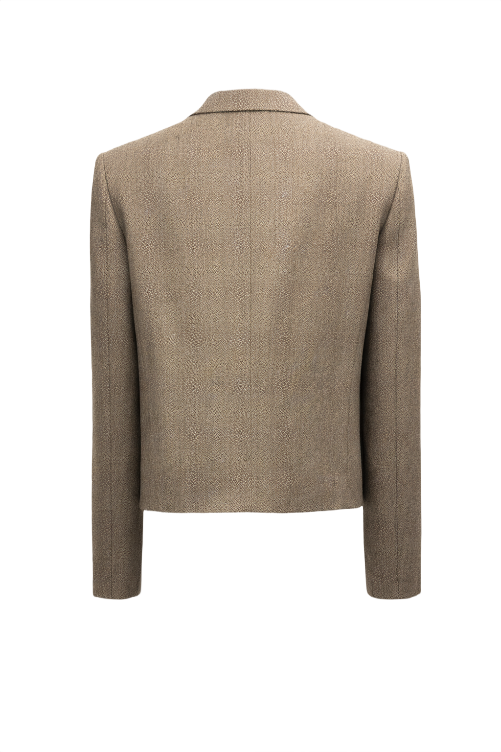 1980s Tan Wool Blazer - Back View