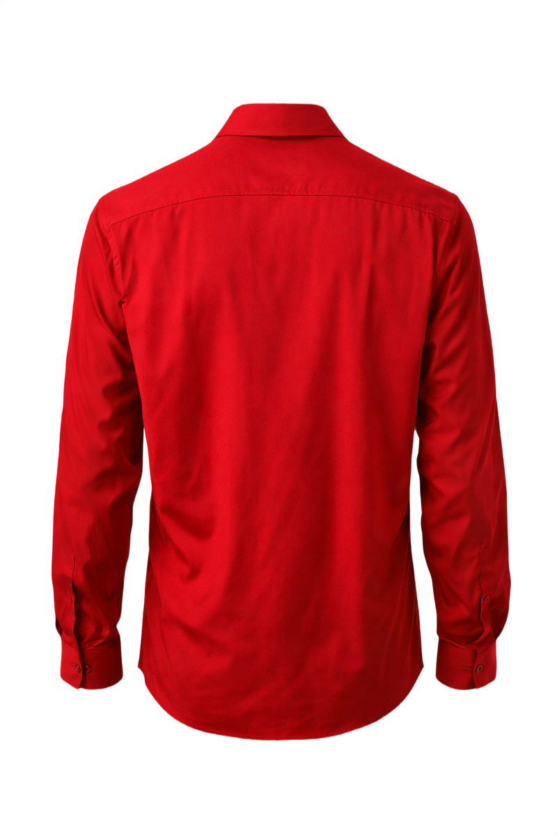 1990s Red Cotton Shirt - Back View