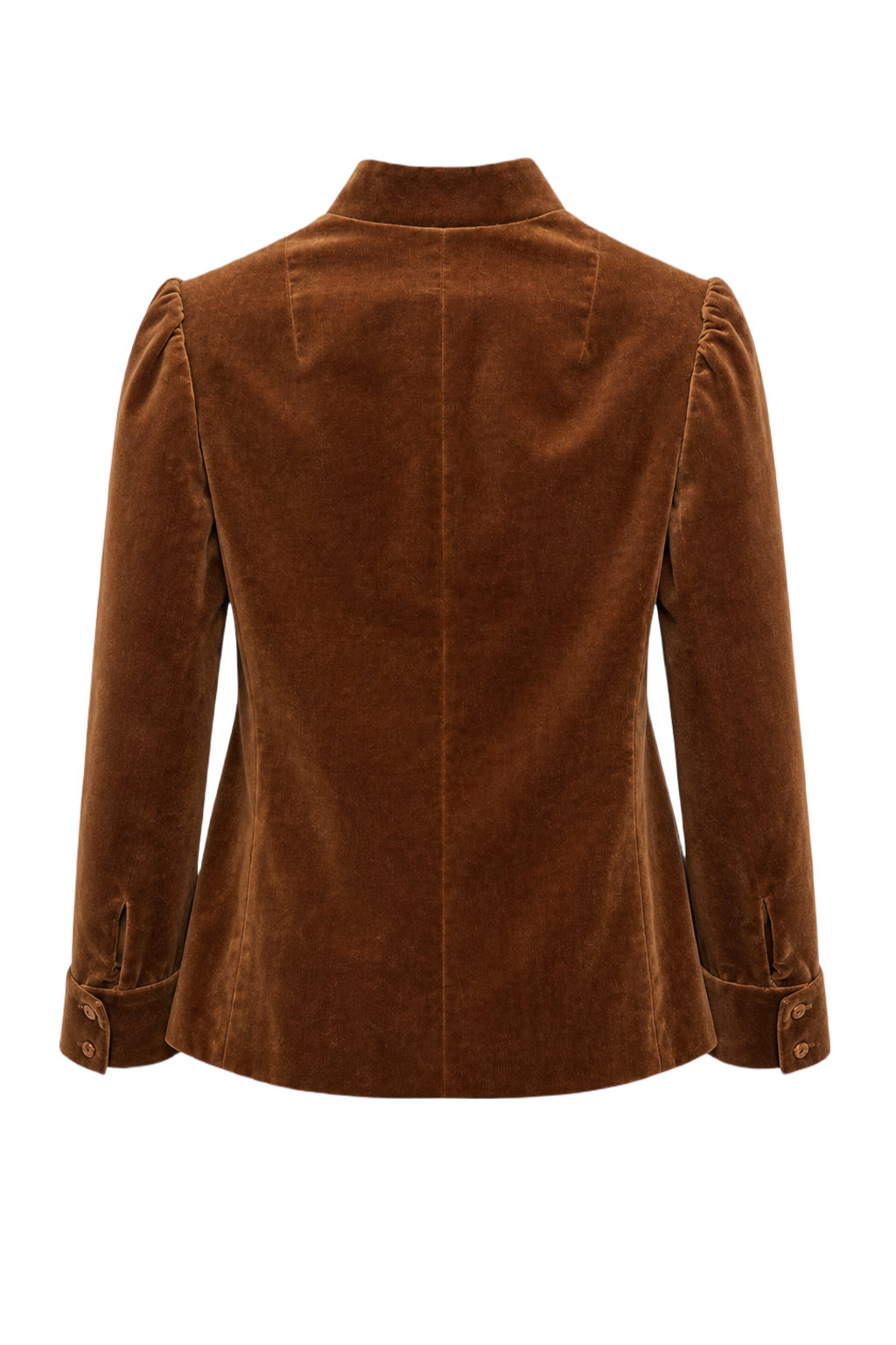 1970s Brown Velvet Blouse - Back View