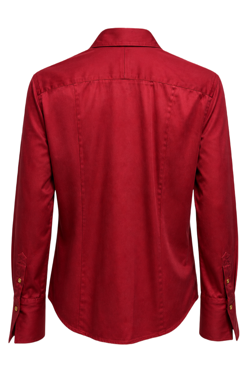 1970s Red Satin Shirt - Back View