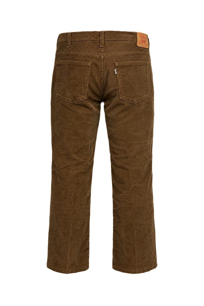 1970s Brown Corduroy Pants - Back View
