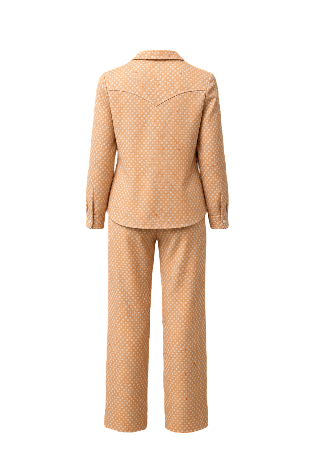 1960s Peach Polyester 2-Piece Set - Back View