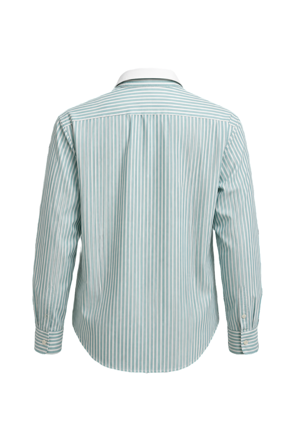 1970s Light Blue Cotton Shirt - Back View