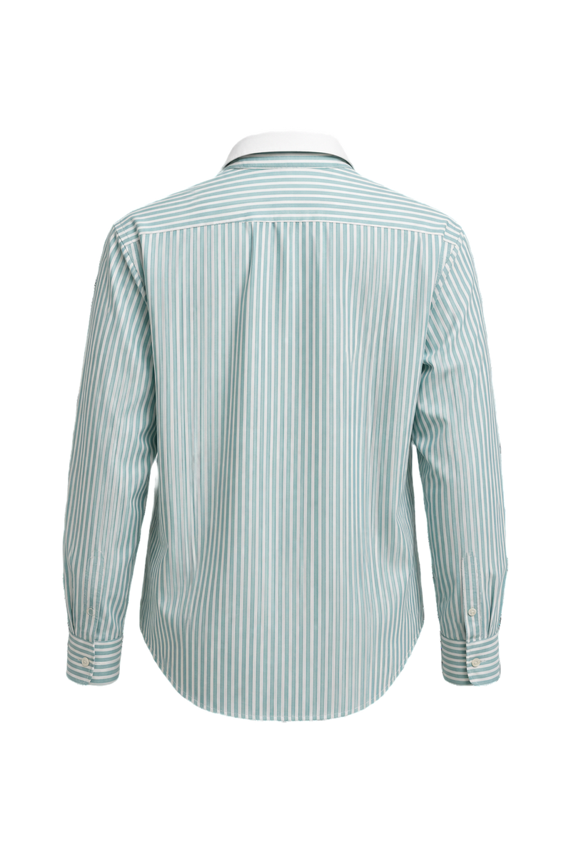 1970s Light Blue Cotton Shirt - Back View