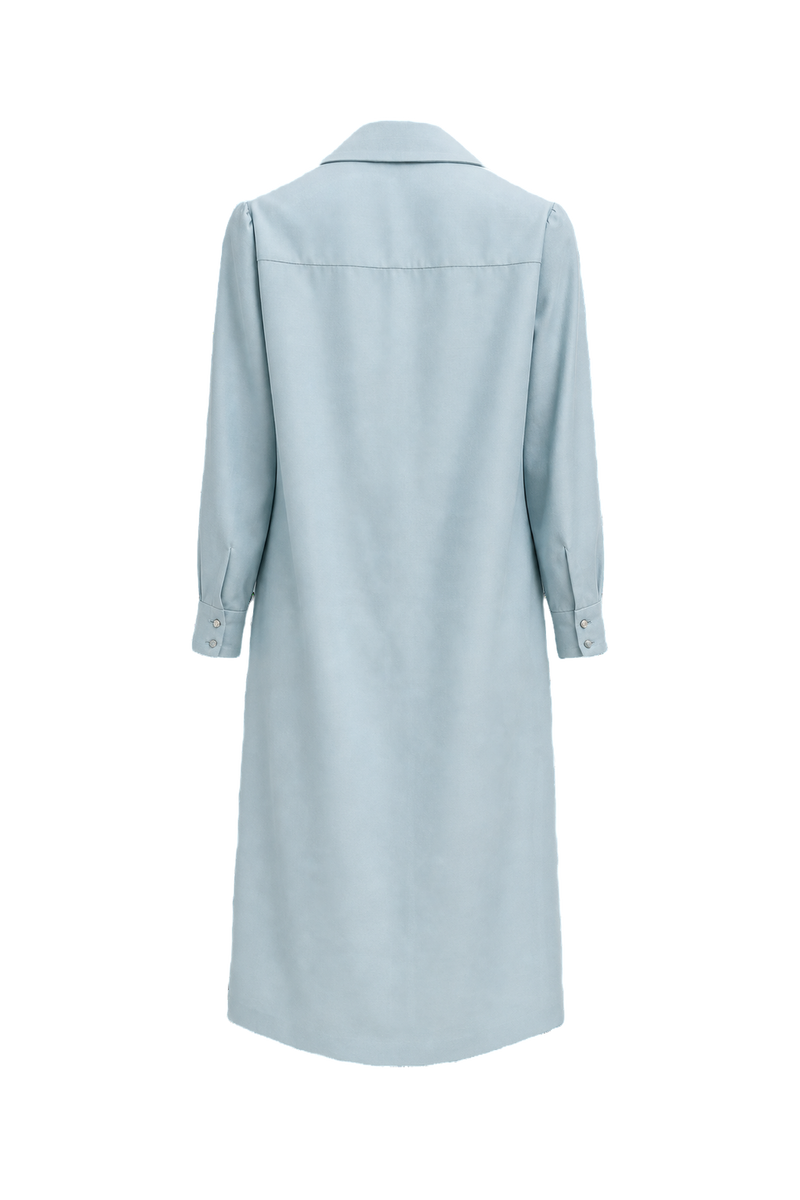 1960s Light Blue Polyester Dress - Back View