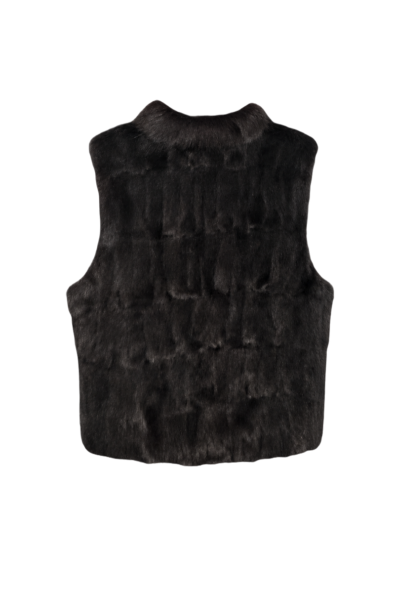 1980s Dark Brown Fur Vest - Back View