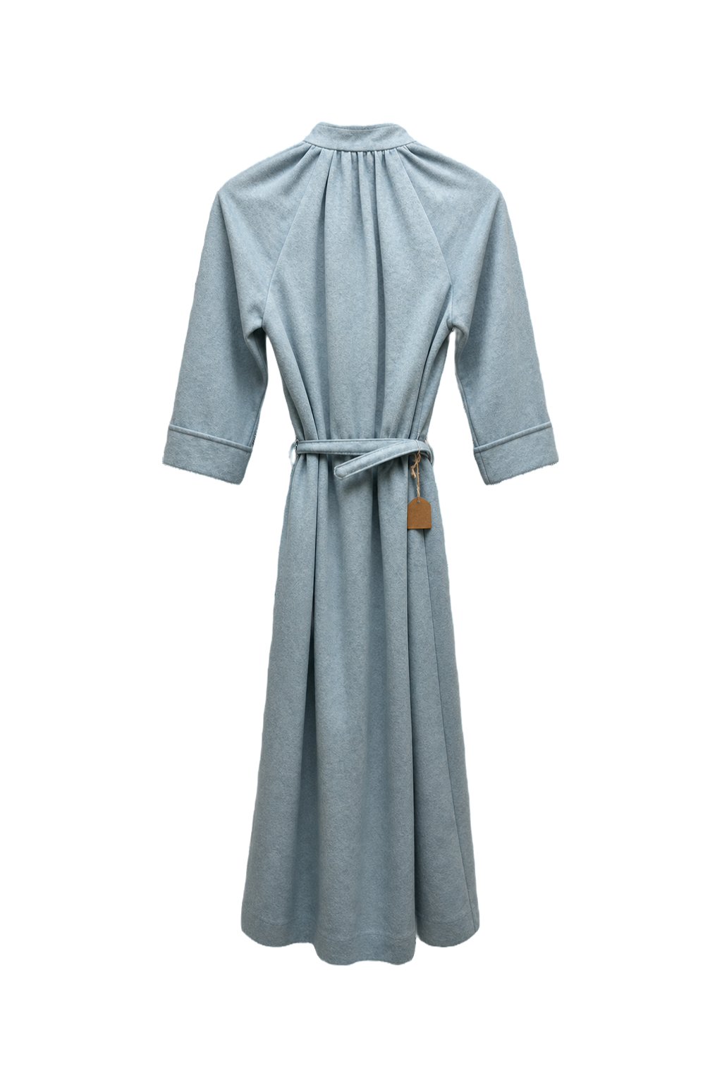 1970s Light Blue Cotton Dress - Back View