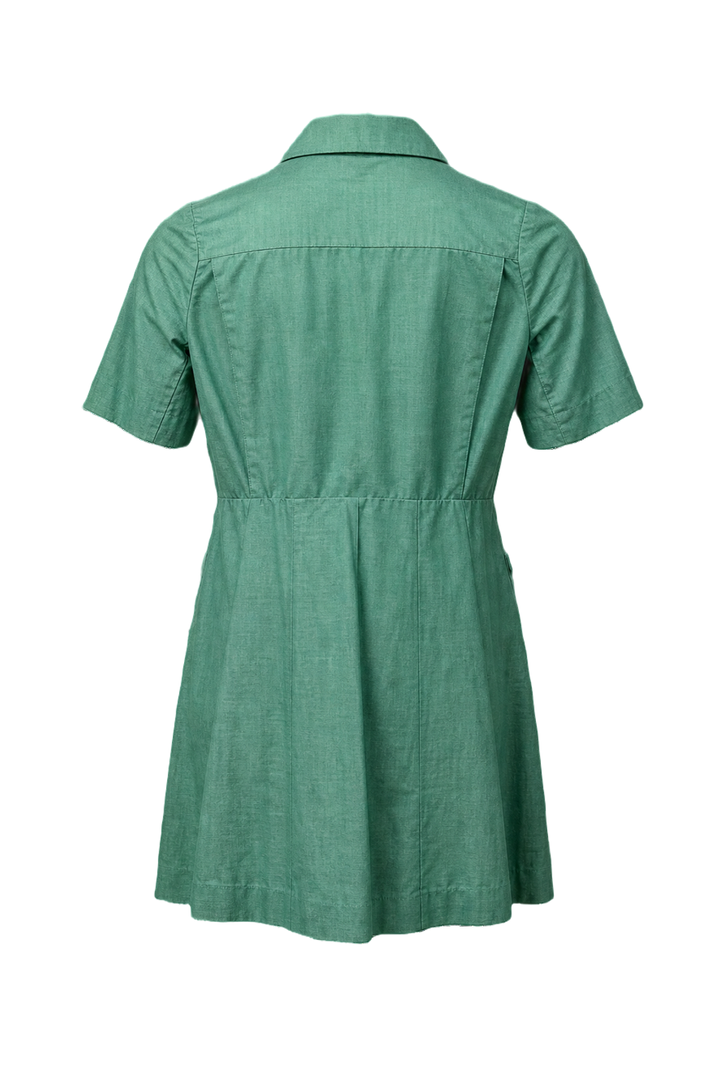 1970s Light Green Cotton Dress - Back View