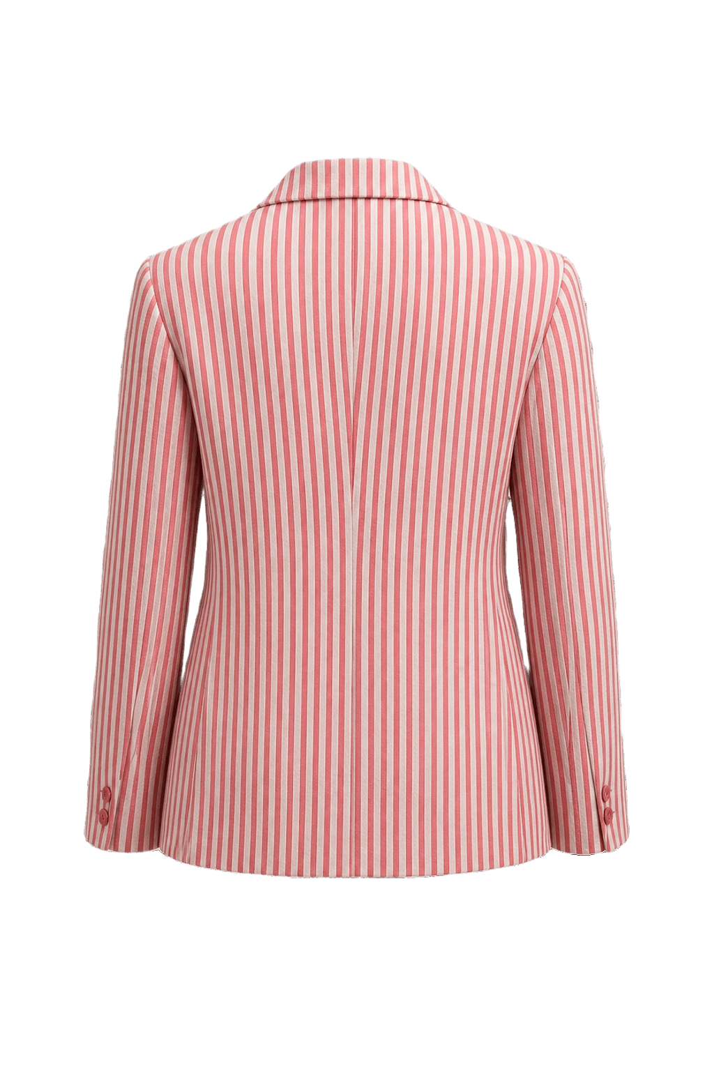 1970s Red Cotton Striped Blazer - Back View