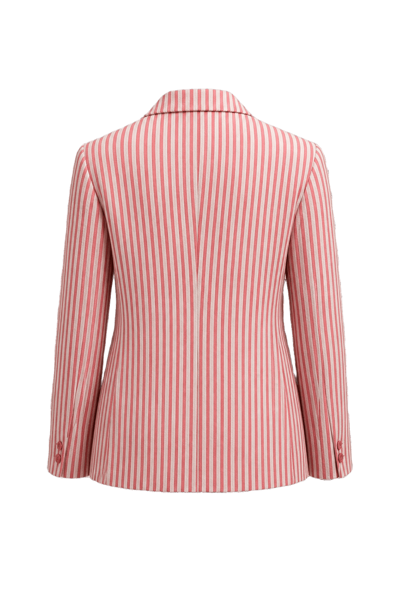 1970s Red Cotton Striped Blazer - Back View