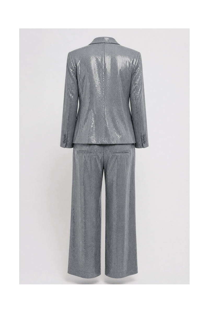 1990s Silver Polyester 2-piece Suit - Back View
