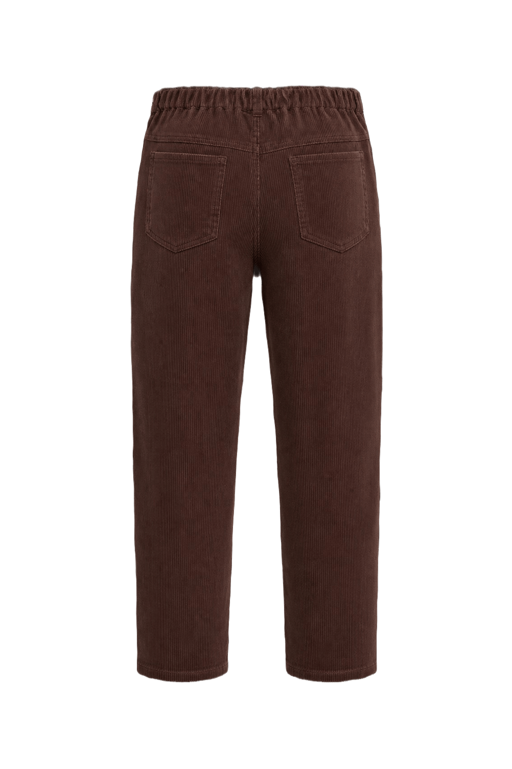 1990s Brown Corduroy Pants - Back View