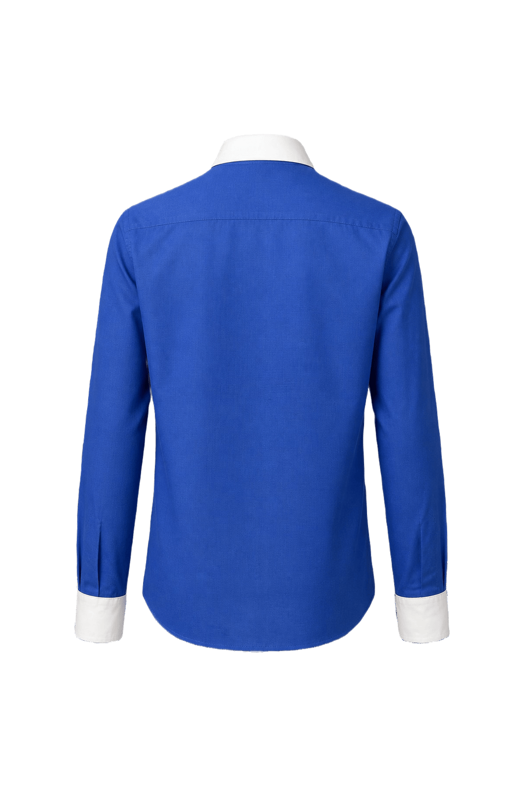 1990s Blue Cotton Shirt - Back View