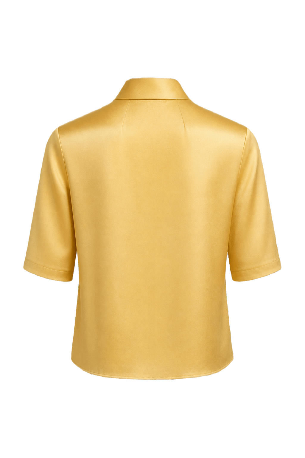 1970s Soft Yellow Silk Blouse - Back View