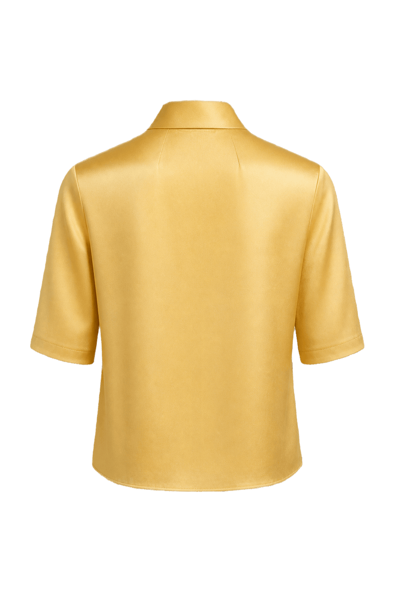 1970s Soft Yellow Silk Blouse - Back View