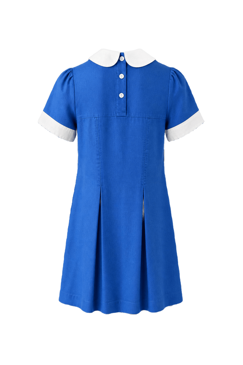 1960s Blue Cotton Dress - Back View