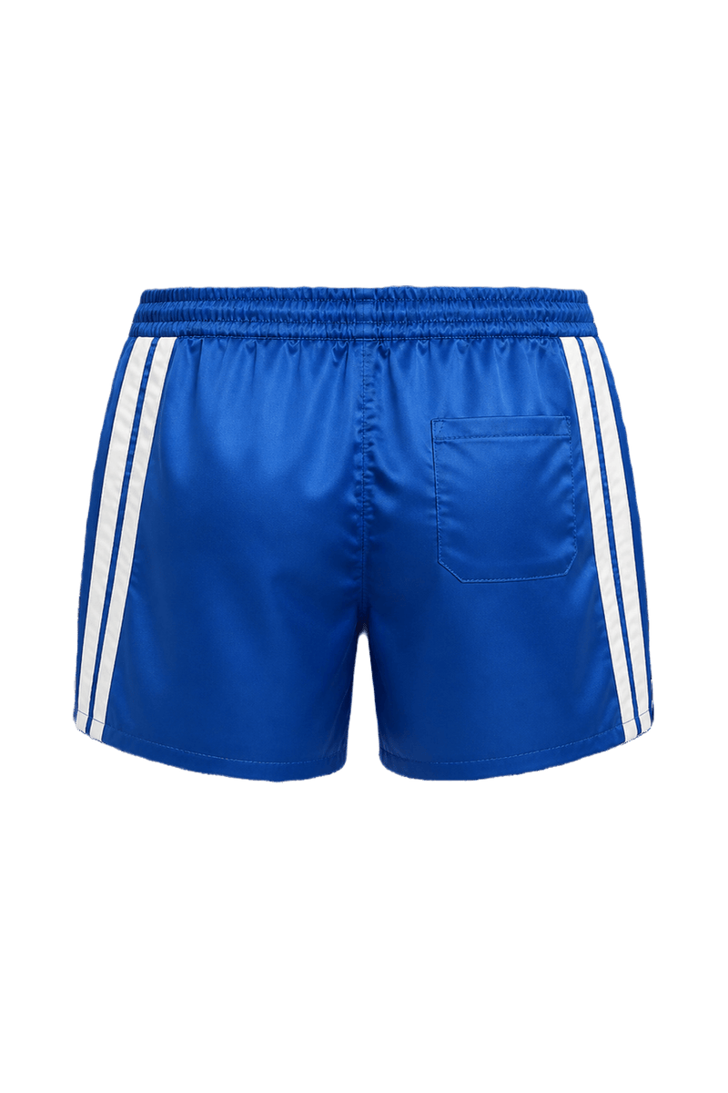 1980s Royal Blue Nylon Shorts - Back View