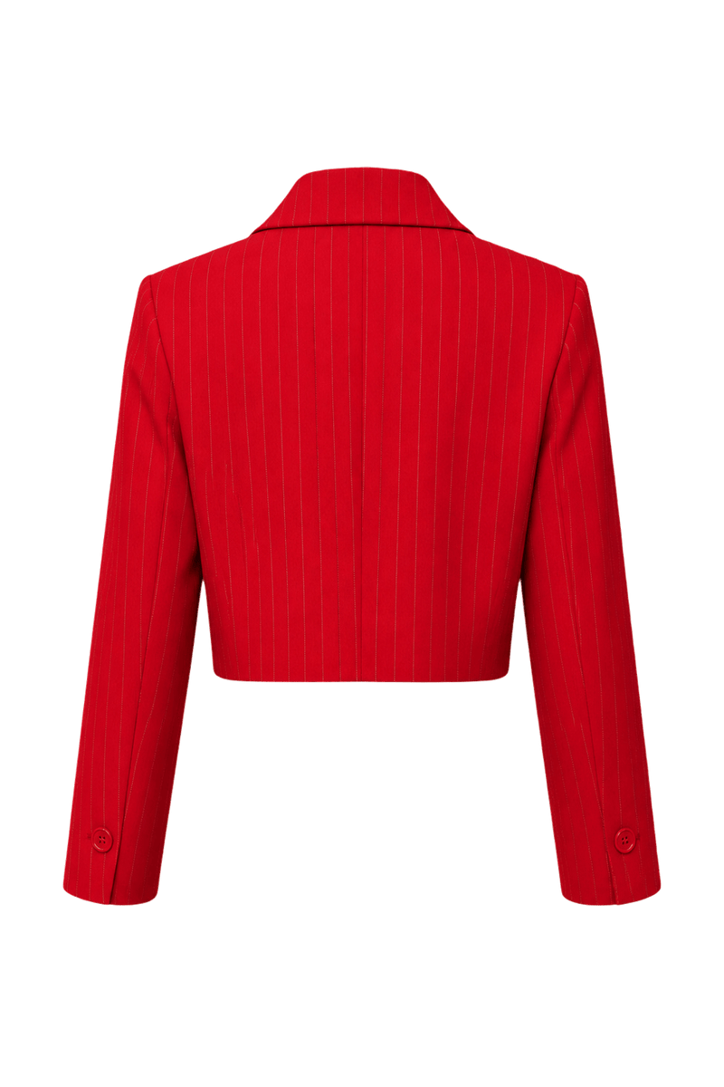 1980s Red Wool Blazer - Back View