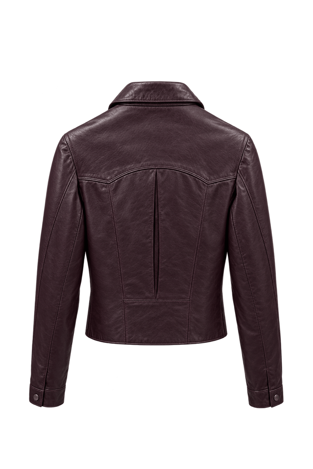 1970s Dark Burgundy Leather Jacket - Back View