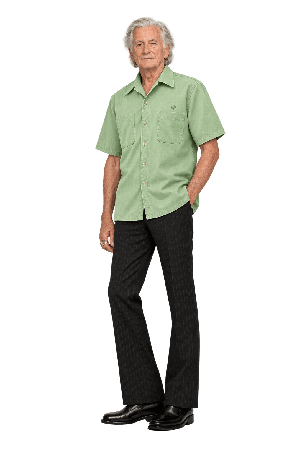 1970s Light Green Cotton Shirt - Model
